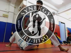 Synergy BJJ MMA logo